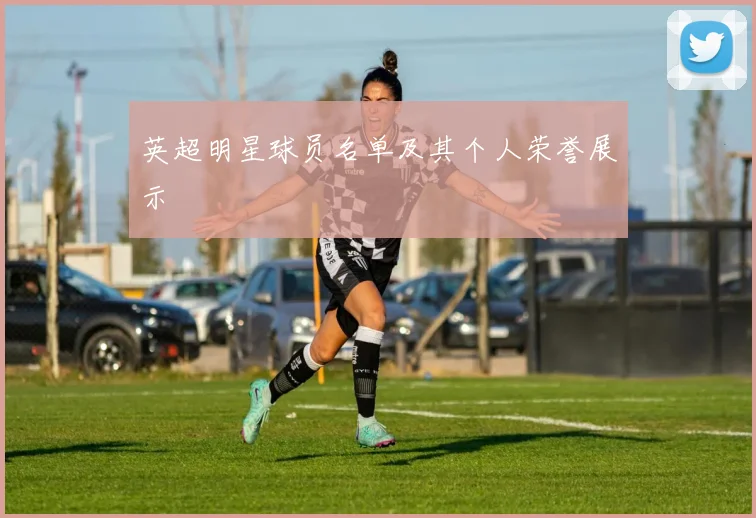 英超明星球员名单及其个人荣誉展示