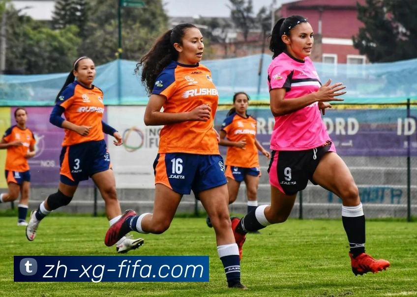 世界杯赛程发展历程